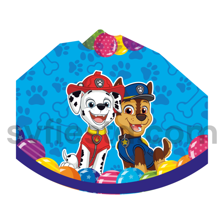 Gorro cumpleañero Paw Patrol Doc.